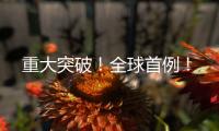 重大突破！全球首例！