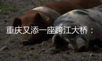 重庆又添一座跨江大桥：马鞍石复线桥开工建设