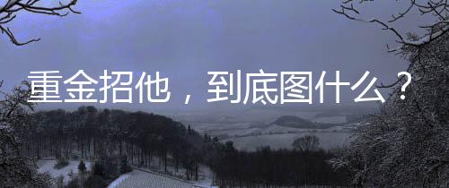 自从塞尔吉尼奥归化成功