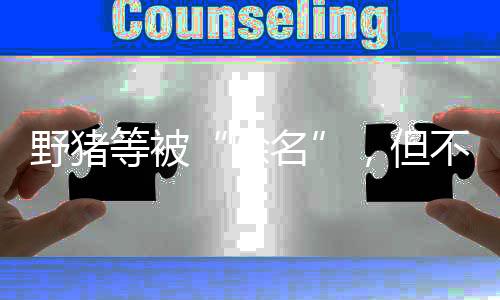 其猎捕管理发生变化
