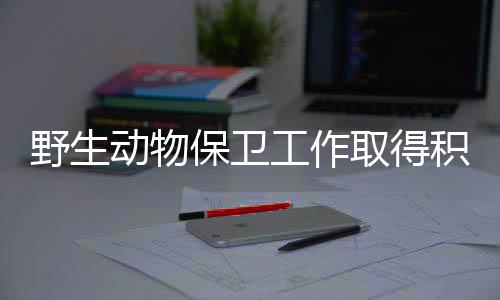 执法检查报告指出