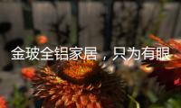 金玻全铝家居，只为有眼光的你而来!