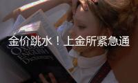 金价跳水

！上金所紧急通知