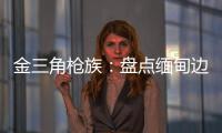 快排公司十年历程，霸屏兔 seo 的崛起与坚守