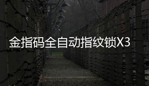 金指居新越简越不简易