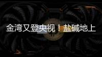 金湾又登央视�
！盐碱地上“变”出1.8万亩良田