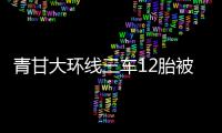青甘大环线三车12胎被扎
，官方通报
：两人被抓