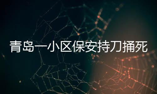 青岛插吧网