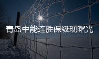 快排公司十年历程，霸屏兔 seo 的崛起与坚守