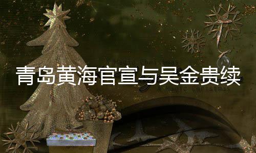 青岛球迷们的黄海肯定与认可