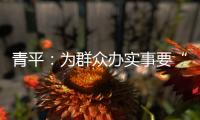 青平�：为群众办实事要“踩准步点”