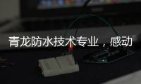 青龙防水技术专业
，感动业主获赠锦旗