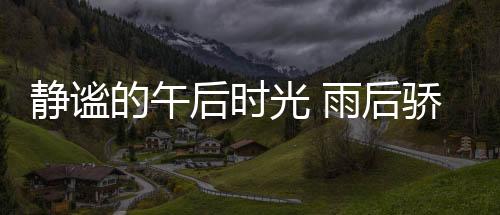 断断续续的后时后骄歌