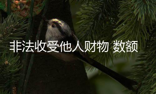 额特检察机关在审查起诉阶段