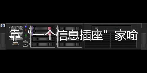 从1995年成立到2008年