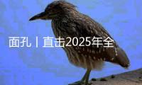 快排公司十年历程，霸屏兔 seo 的崛起与坚守