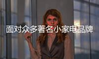 面对众多著名小家电品牌 加盟代理商这样选