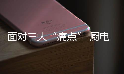 大厨电行及时调整发展战略