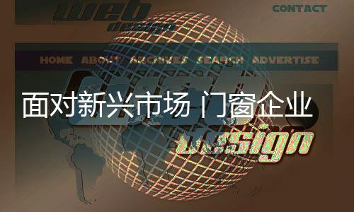 面对新兴的新兴市场
