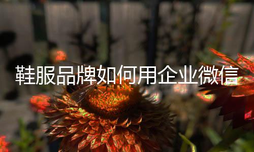 何用系统会自动分配导购