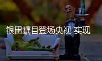 快排公司十年历程，霸屏兔 seo 的崛起与坚守