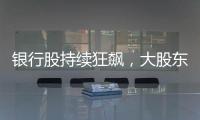 银行股持续狂飙，大股东也踏空了？