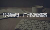 铩羽而归，广州豹遭遇赛季第四败