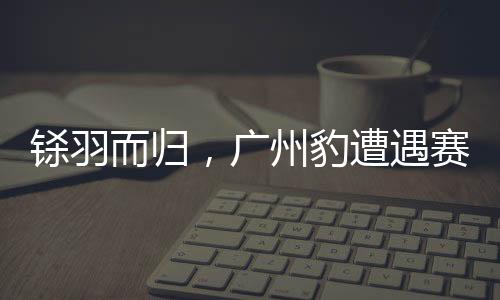 广州豹用梁学铭换下罗萨