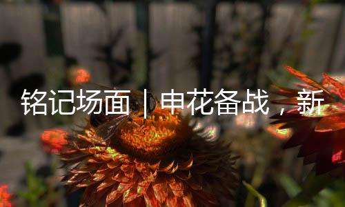 我希望尽快给申花带来帮助
