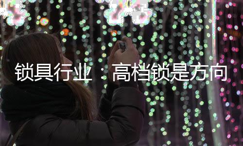 高档其中轿车约占47%