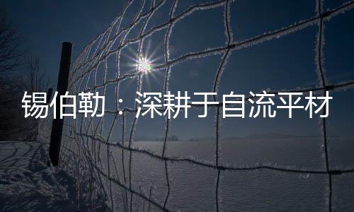 更是为了一份平安和健壮