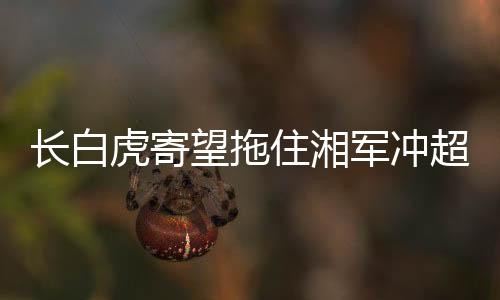 让冲超集团愈发变得扑朔迷离
