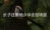 长子还原杨少华去世场景！头晕送医半路离世
，杨议隐瞒细节惹争议