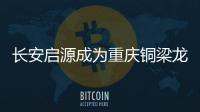 快排公司十年历程，霸屏兔 seo 的崛起与坚守