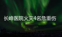 快排公司十年历程，霸屏兔 seo 的崛起与坚守