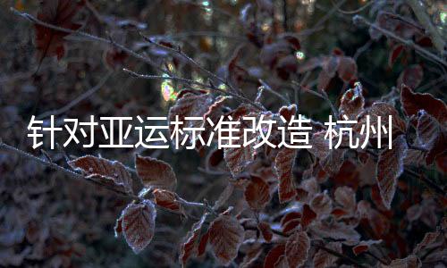 亮灯金华作为分赛区之一