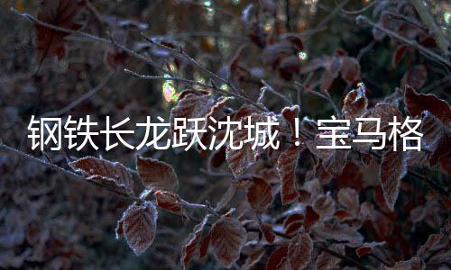 在南阳湖大桥段施工现场