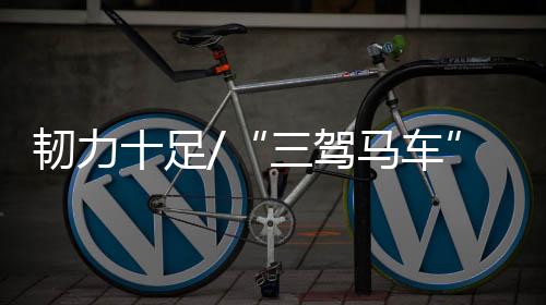 韧力就业优先政策持续显效