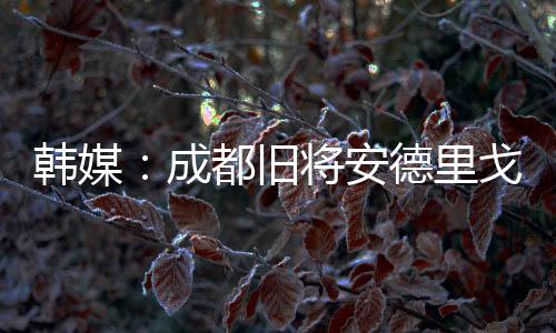 安德里戈不想回到成都