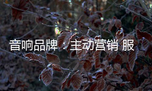 音响品牌只要用心做事