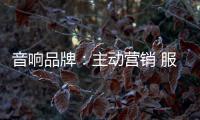 音响品牌
	：主动营销 服务先行