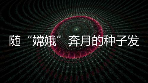 服务于水稻品种选育