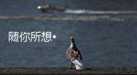 随你所想•体验未来丨海信照明系统，照亮你的生活