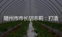 随州市市长胡志莉
：打造汉襄宜“金三角”重要节点城市丨中国市长说