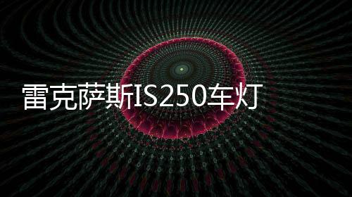 无论动力、大都喜爱个性张扬