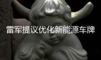 雷军提议优化新能源车牌设计，网友：期待个性化色彩样式