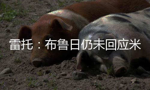 但布鲁日迟迟未做回应