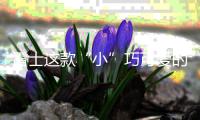 雷士这款“小”巧可爱的灯
，居然有“大”作用