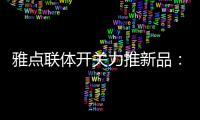 雅点联体开关力推新品：拉丝黑开关