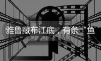 雅鲁藏布江底�，有条“鱼”在凝望沙的迁徙